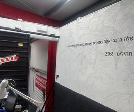 228617551-1-5kQEL8Zf8b1785486942555.jpeg