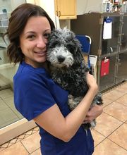 University Animal Clinic image 6