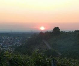 Ihle Besen Bild 2