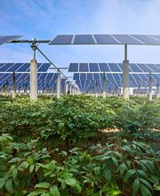 DVP Solar Germany GmbH Bild 2