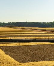 Viviendas Guadalvir imagen 1