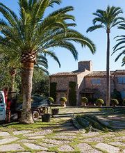 Jardinería Son Servera imagen 1