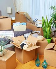 Woodtli Renovationen - Maler, Gipser, Bodenleger Bild 12