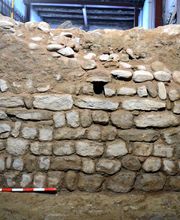 IN SITU SCP imagen 19