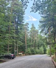FriedWald Mainhardt Bild 4