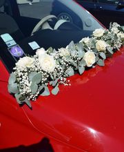 Gros lierre fleurs image 6