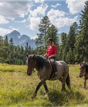 Wohlis Kutschbetrieb &  Ginas Reitschule Bild 3