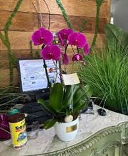 2 Lips Fort Lauderdale Florist & Flower Delivery image 3