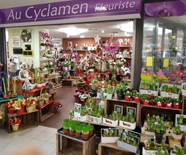 Au Cyclamen image 2