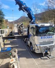 Gartenbau Hoch3 Bild 9