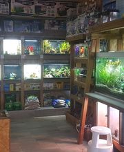 AmaitaVet Clínica Veterinaria imagen 6