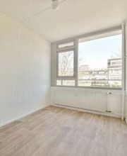 Hardys Entrümpelung Bild 2