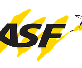 Asf Services image 2