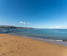 Occidental Las Canteras imagen 12