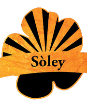 Catering - Cafe Soley Leipzig Bild 2