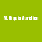 M. Niquis Aurélien