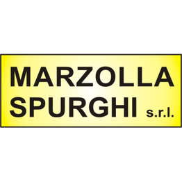 Marzolla Spurghi Srl - Spurgo Pozzi Neri H 24 logo