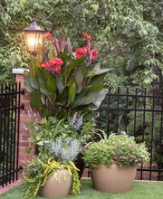 Rock Creek Irrigation & Landscapes image 14