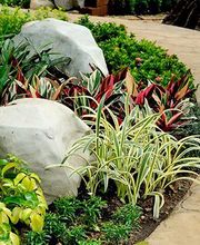 Romu Parcs Et Jardins image 5