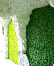 Franzen Moos Wanddesign Bild 11
