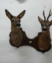 Lanaud Petot Virginie image 4