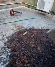 Entreprise Kennel image 11