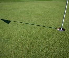 Golf de Pra Roman Bild 7