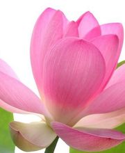 Aux Couleurs De Soi image 3