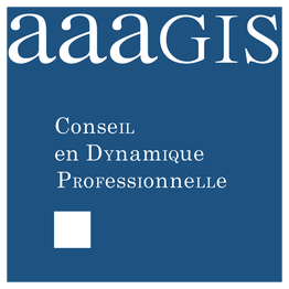 AAAGIS Conseil