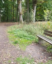 FriedWald Gronenburg Bild 11