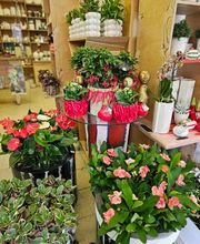 Bayer Blumen Moderne Blumengestaltung Eingang Augsburgerstr. Bild 3