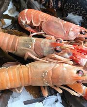 Le Cap De Pornichet image 12