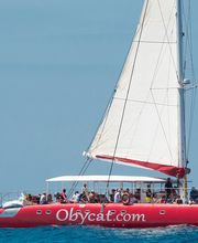 OBYCAT Experience imagen 2