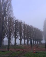 Sos jardin image 4