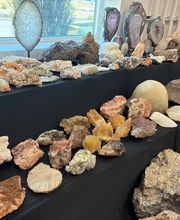 Shipwreck Surplus image 1