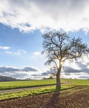 Harry Fichtner Fotostudio Bild 18