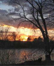 All Access Real Estate image 5