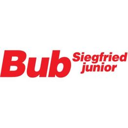 Bub Siegfried jun. Erdbau - Transporte - Abbruch