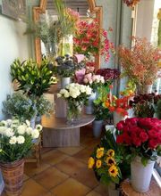 Fleurs Schildknecht image 12