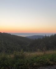 Bois energie charolais image 1