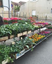 Dall'ava Et Fils Horticulteur image 1