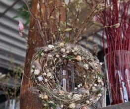 Blumen Hirter Bild 14