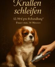 Screenshot 2025-10-23 172548.png