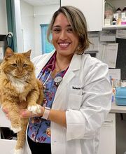 South Putnam Animal Hospital image 9