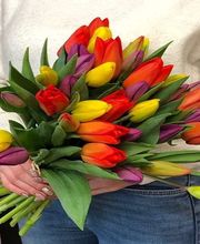 Chataigner les 15 sillons image 5