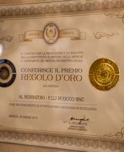 Gallery Professionale