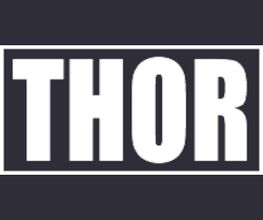 Thor image 2