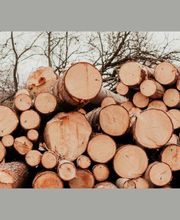 VANGI VERDURE ET BOIS V.V.B image 2