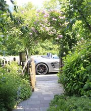 Elztal Gartenbau Bild 48