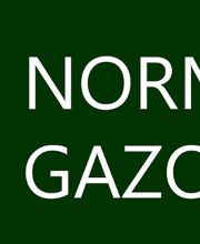 Normandie Gazon image 8